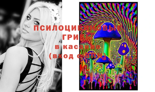 трава Заволжск