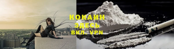ГАЛЛЮЦИНОГЕННЫЕ ГРИБЫ Заволжье
