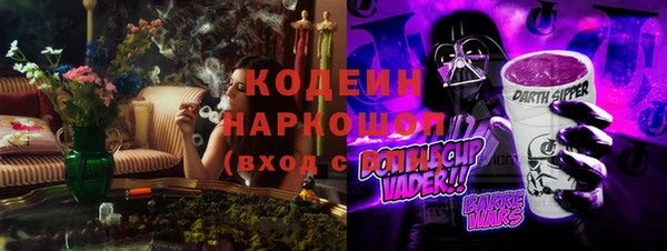 ГАЛЛЮЦИНОГЕННЫЕ ГРИБЫ Заволжье
