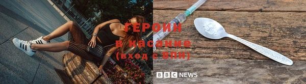 ГАЛЛЮЦИНОГЕННЫЕ ГРИБЫ Заволжье