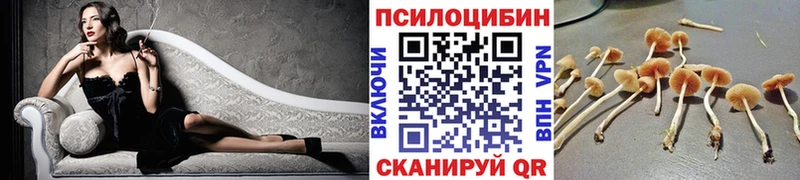Галлюциногенные грибы Magic Shrooms  закладки  площадка как зайти  Сольвычегодск 
